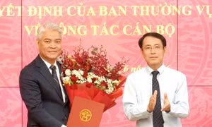 Tiếp nhận, điều động, bổ nhiệm nhân sự ở Hà Nội, TPHCM và 3 tỉnh