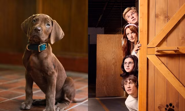 Netflix lần đầu tiên sử dụng chó thật trong “Scooby-Doo”, netizen chê quá chê