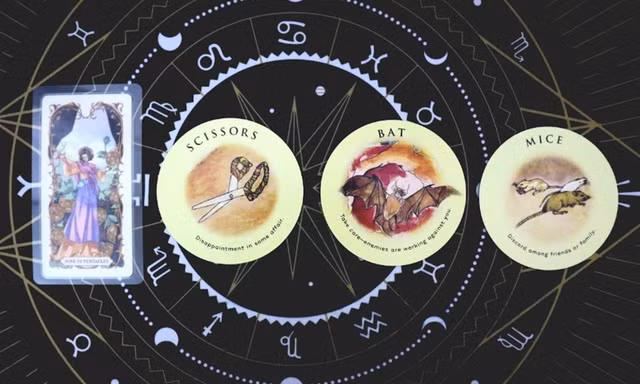 Tarot tuần này: Sư Tử nhận ra "chân tình", Cự Giải cẩn thận kẻ "vạch lá tìm sâu"