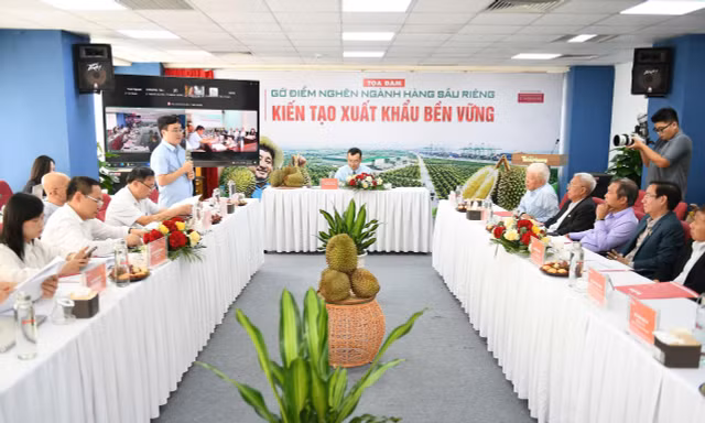 Sầu riêng Việt Nam: Tăng trưởng tỷ USD và bài toán quản trị ngành hàng