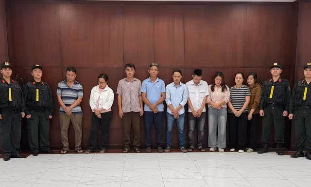 Khởi tố 9 bị can trong đường dây đưa 10.000 tấn heo sử dụng chất cấm ra thị trường
