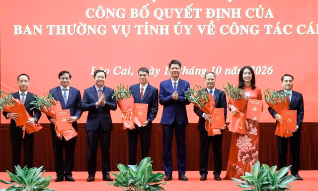 Công bố quyết định của Ban Thường vụ Tỉnh ủy Lào Cai về công tác cán bộ