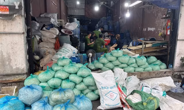 TPHCM: Bắt 4 người sản xuất, bán ra thị trường hơn 1.000 tấn giá đỗ ngâm hóa chất cấm 