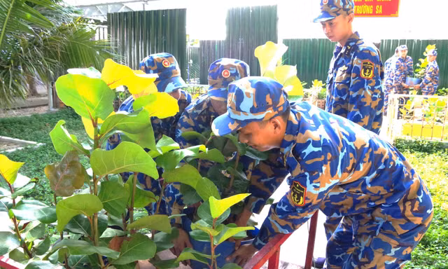Giữ mầm xanh giữa nắng gió Trường Sa