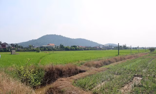 Hải Phòng gấp rút GPMB làm đường sắt tốc độ cao Hà Nội - Quảng Ninh