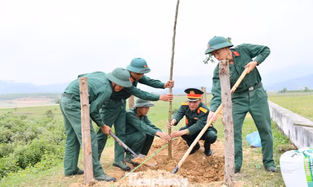 Khi người lính về làng, cùng dân dựng màu xanh