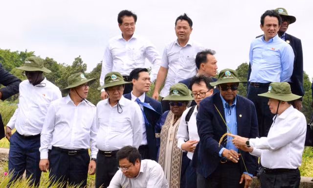 Chủ tịch Quốc hội Trần Thanh Mẫn và Chủ tịch Quốc hội Bờ Biển Ngà thăm đồng lúa Cần Thơ