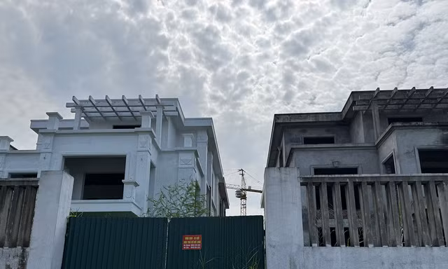 Phía sau biệt thự vùng ven Hà Nội giá hơn 100 triệu đồng/m2