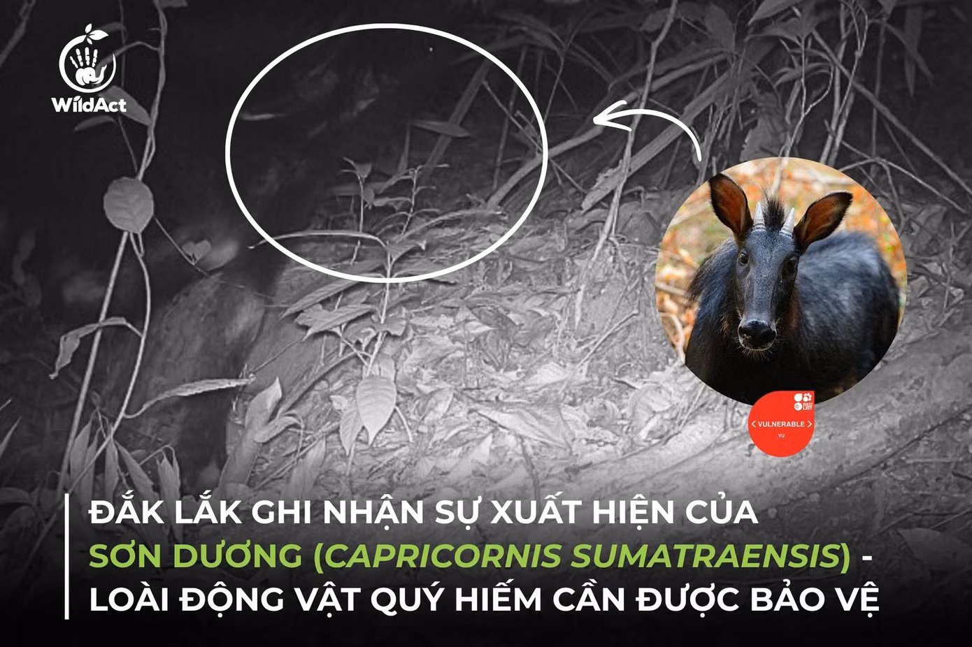 phat-hien-son-duong.jpg