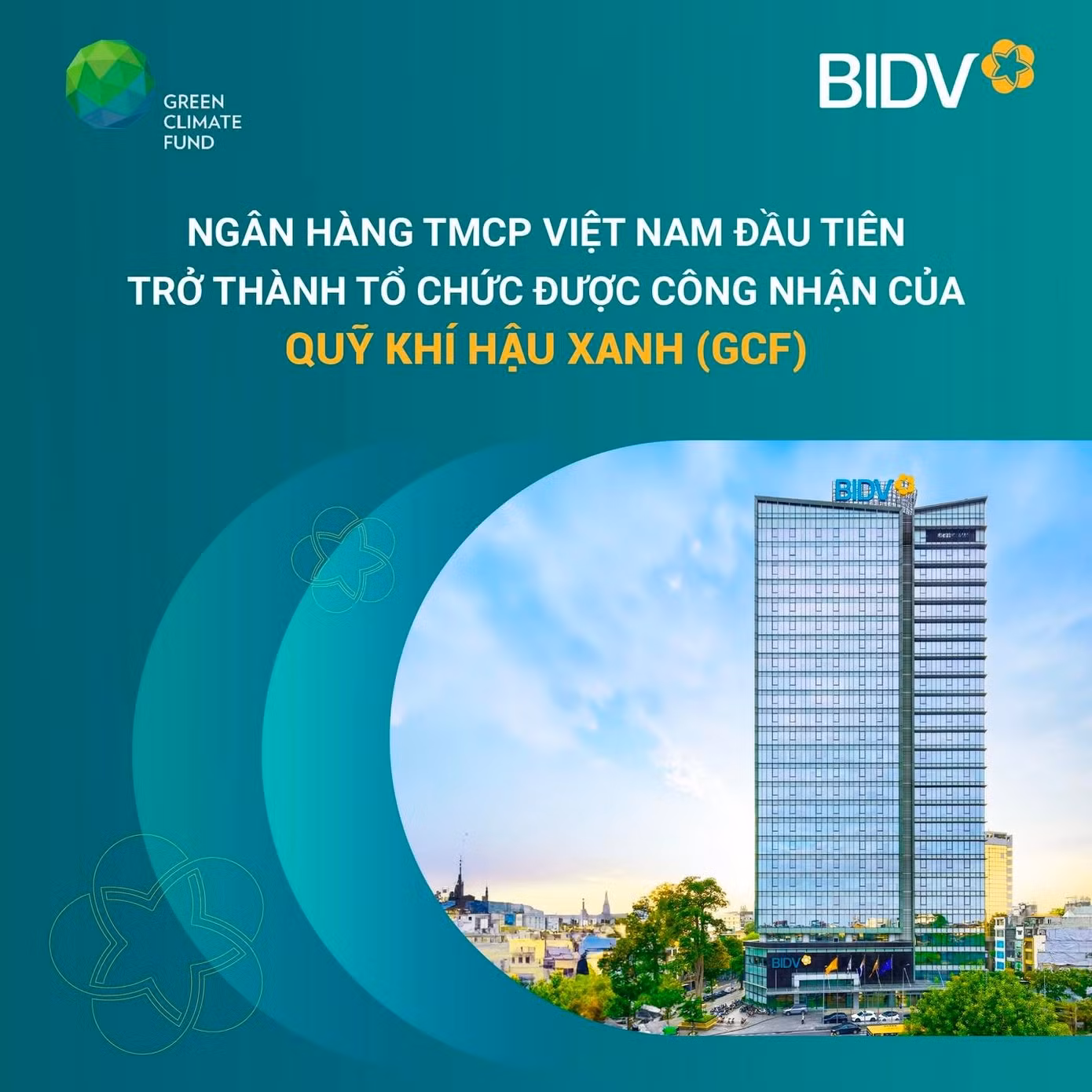 anh-bai-2.jpg