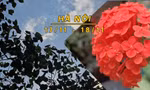 Hà Nội rải rác có mưa, sáng trời rét
