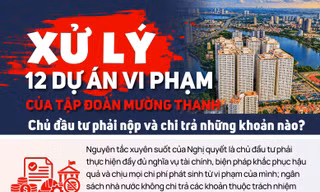 Xử lý 12 dự án vi phạm của Tập đoàn Mường Thanh: Chủ đầu tư phải nộp và chi trả những khoản nào?