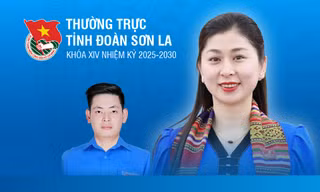 Thường trực Tỉnh Đoàn Sơn La lần thứ XIV, nhiệm kỳ 2025-2030