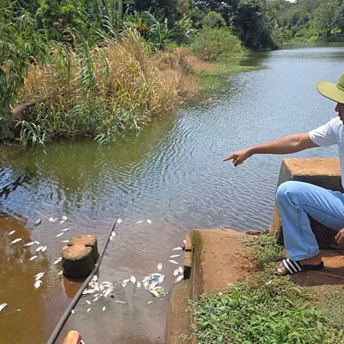 Cá chết trắng, bốc mùi nồng nặc trong hồ thủy lợi ở Đắk Lắk