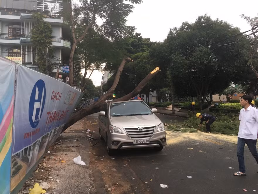 Hiện trường vụ việc.