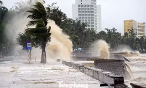 Bão số 10 di chuyển thần tốc, Bộ Xây dựng lệnh ứng phó khẩn
