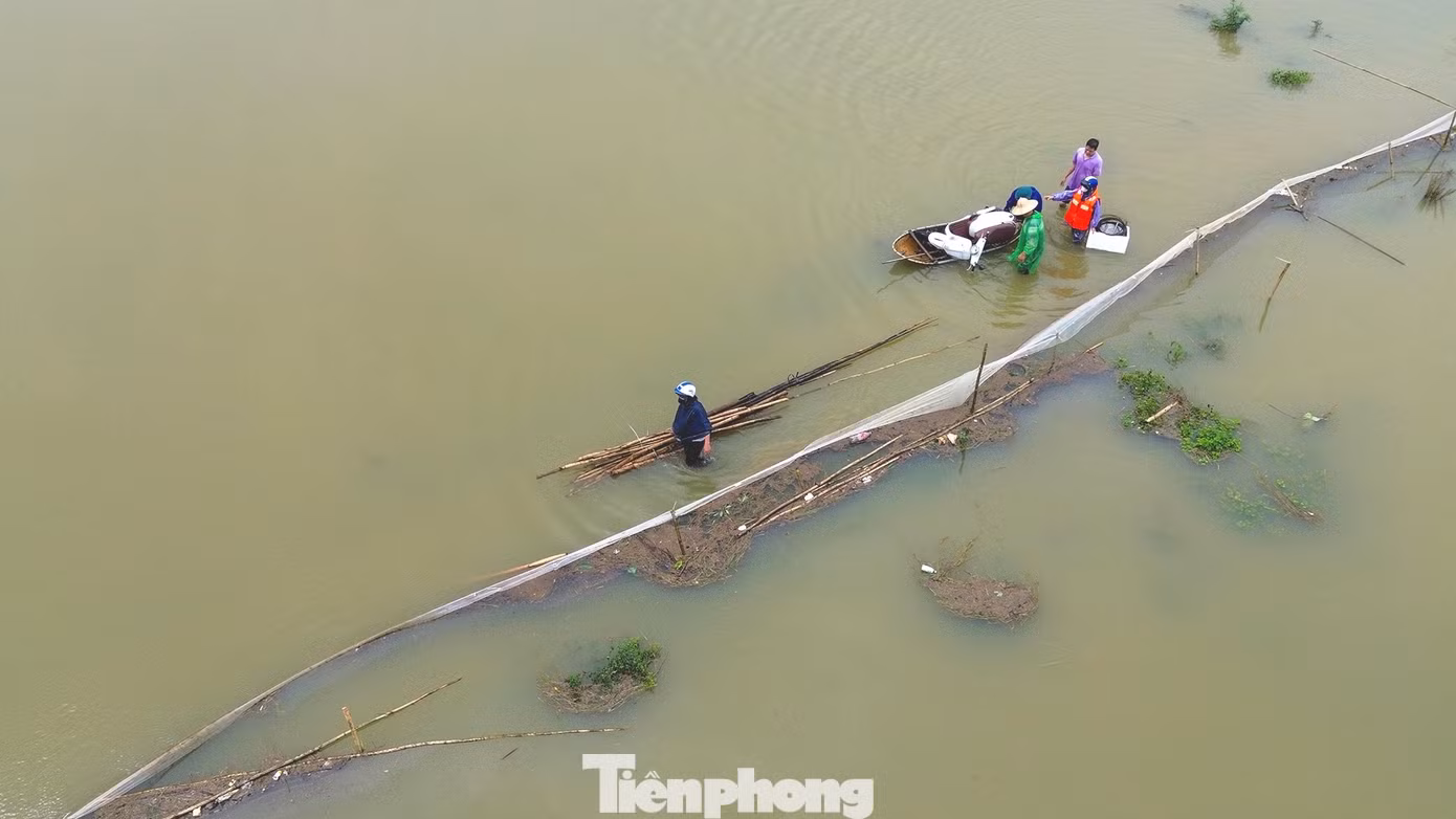 tp-c_dji-1468.jpg