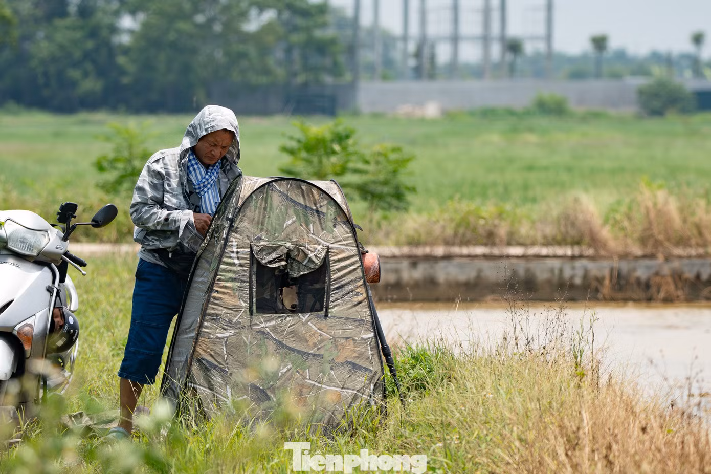 tp-c_chim-binh-minh-thanh-oai-30.jpg