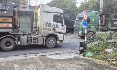 Xe tải ùn ùn cày xới, bất chấp lệnh cấm trên con đường ở trung tâm Đồng Nai