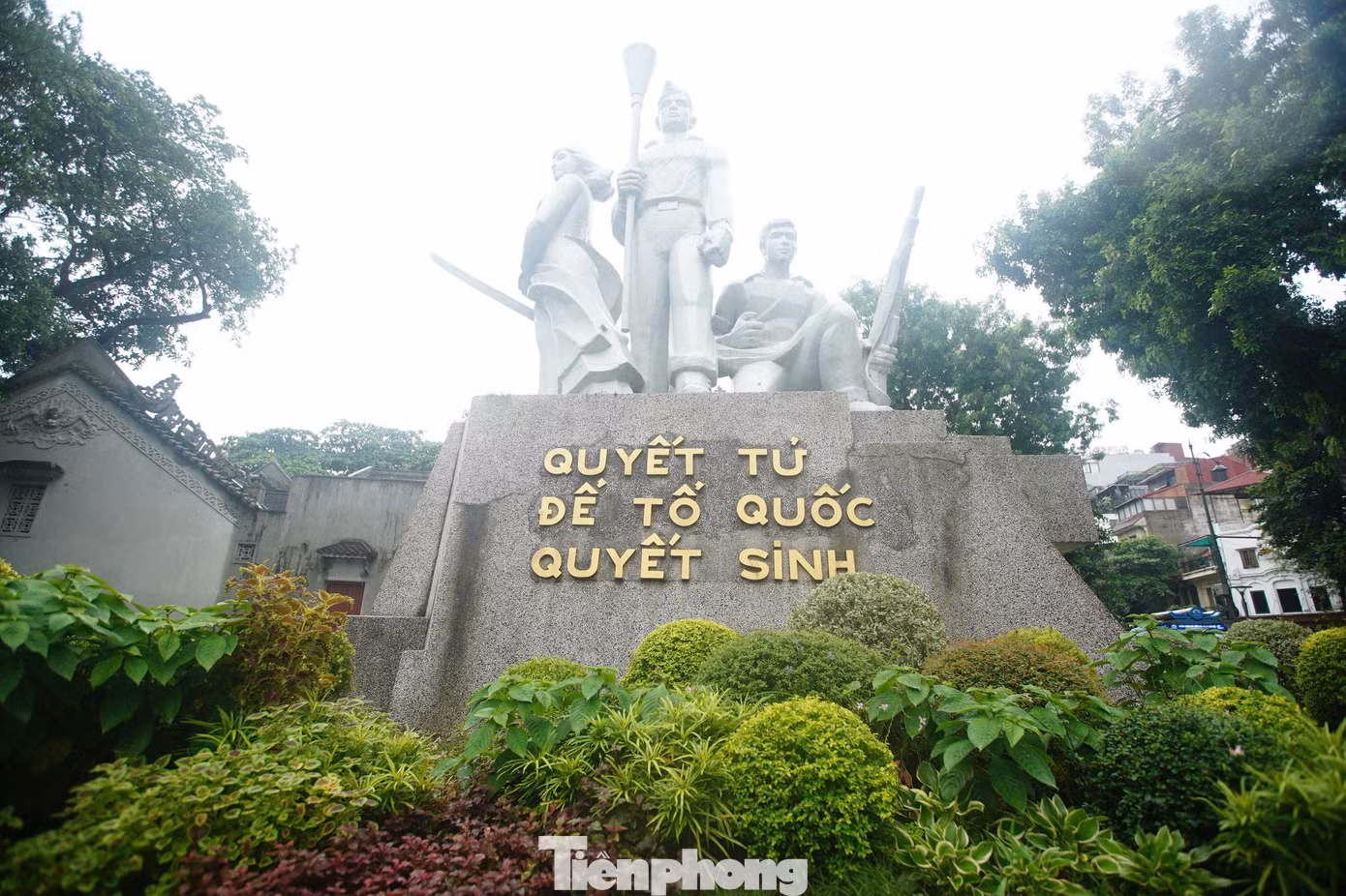 tp-tuong9.jpg