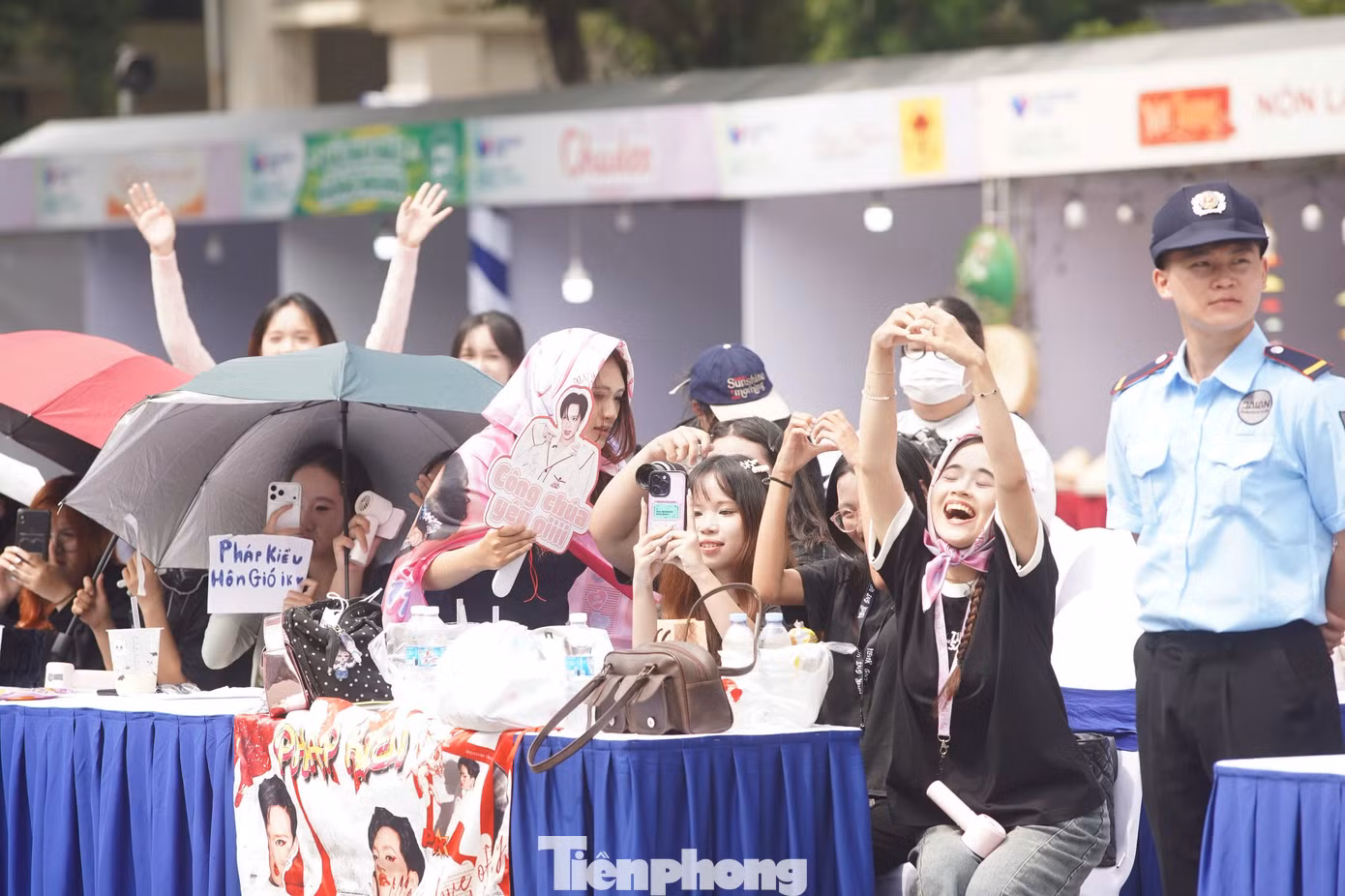tp_p11.jpg
