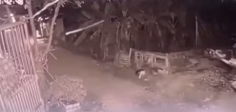 Ảnh cắt từ video vụ việc Ảnh cắt từ video vụ việc