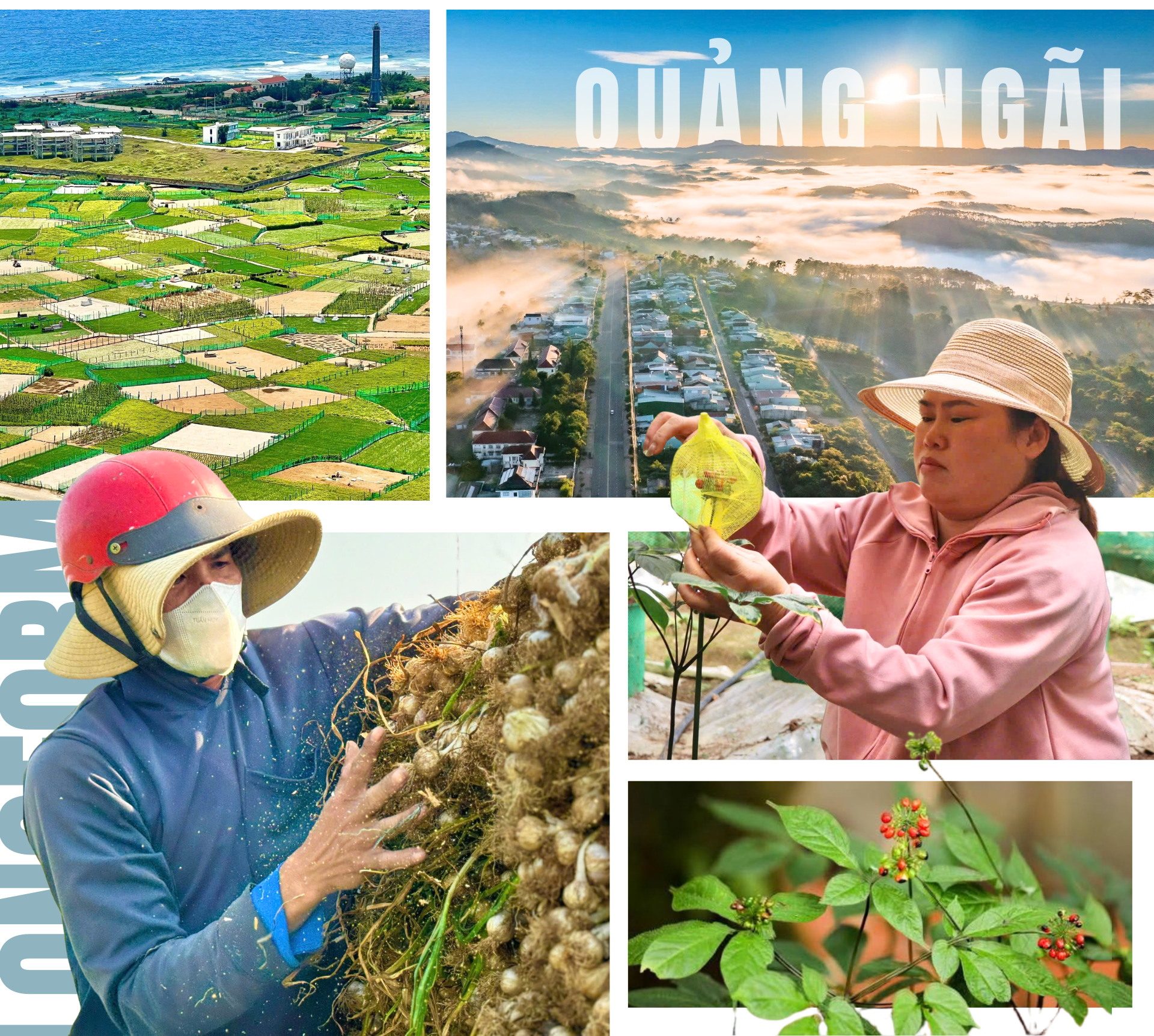 Quảng Ngãi trước cơ hội hình thành cực tăng trưởng quan trọng của miền Trung - Tây Nguyên Quảng Ngãi trước cơ hội hình thành cực tăng trưởng quan trọng của miền Trung - Tây Nguyên