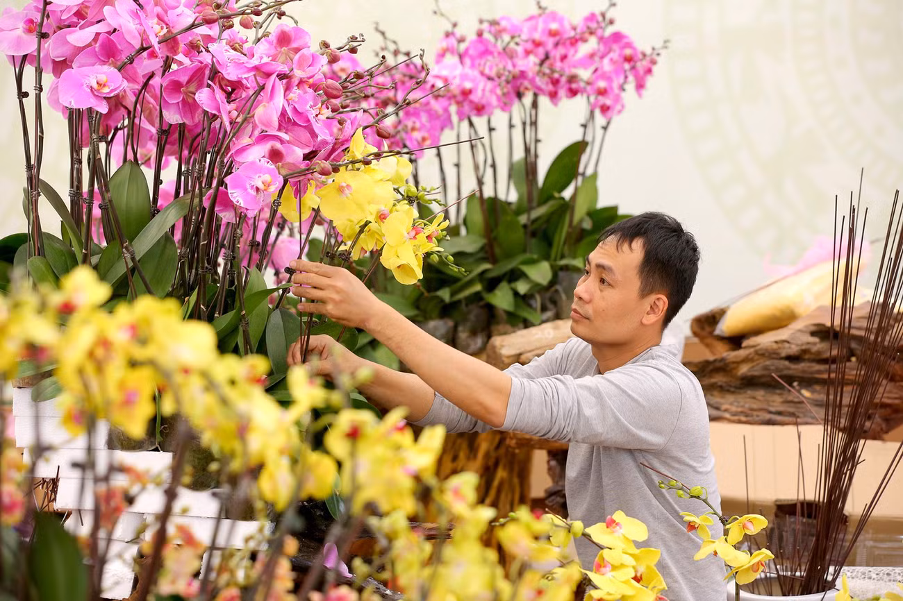Theo các chủ cửa hàng, những bình hoa lan hồ điệp này được cắm cầu kỳ, đẹp và độc đáo có giá khoảng 150 triệu đồng. Nếu có khách hàng hỏi mua sẽ có nghệ nhân về cắm hoa tại nhà theo yêu cầu của khách.