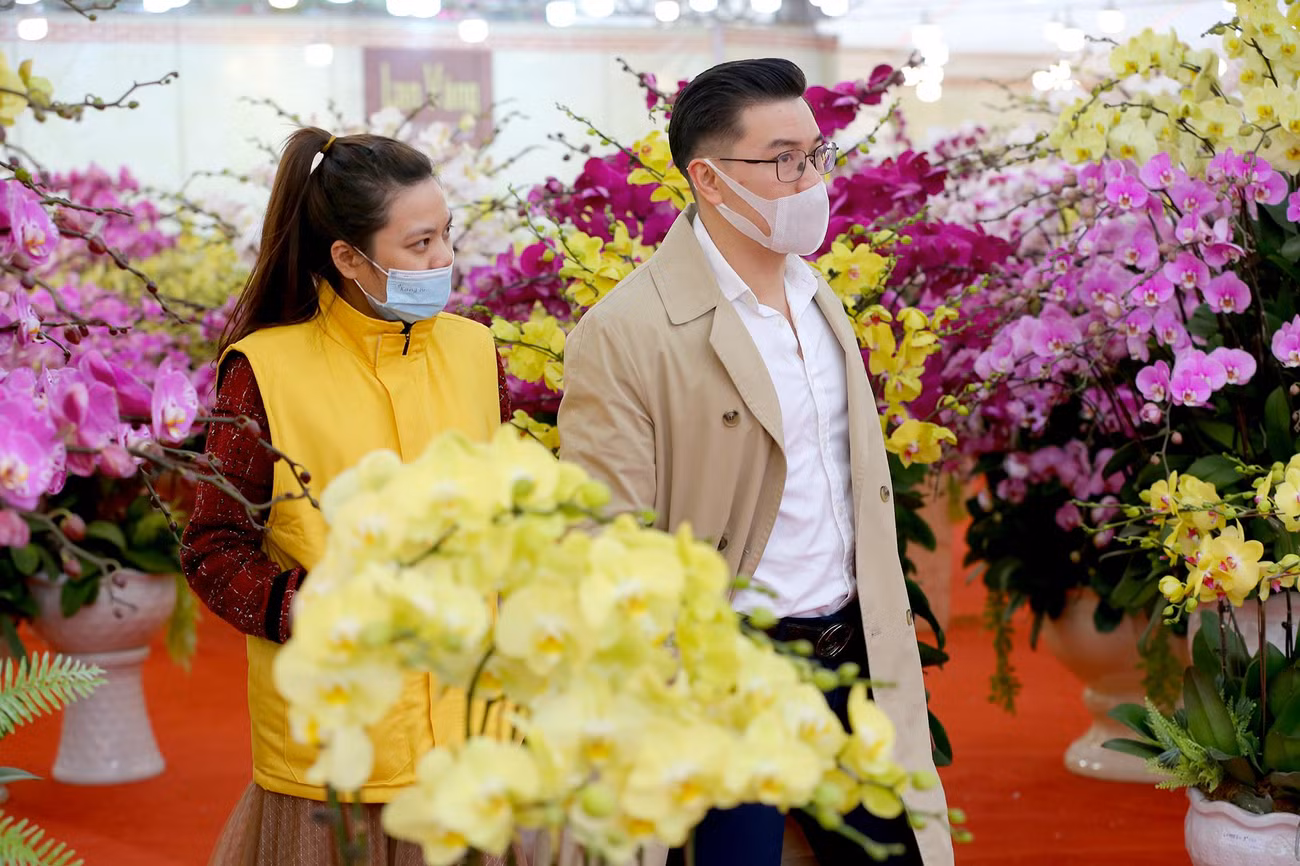 Lan hồ điệp là một loại hoa đẹp mang nhiều ý nghĩa tốt lành thích hợp dùng để trưng trong ngày Tết cổ truyền.