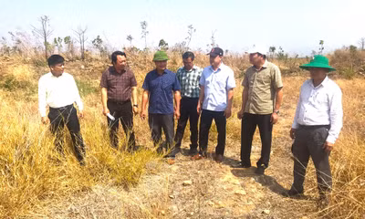 14 công trình 'mọc' trái phép trên đất cao su, nộp phạt nhưng chưa khắc phục