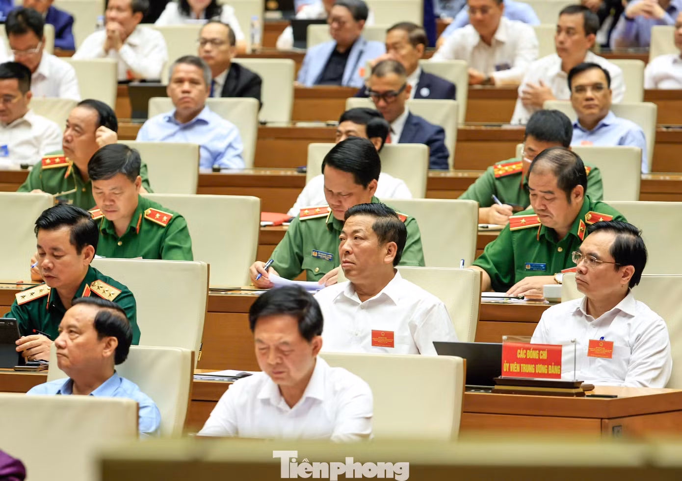 tp-306hoinghimoi2.jpg