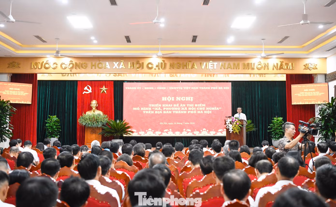tp-167bthn8.jpg
