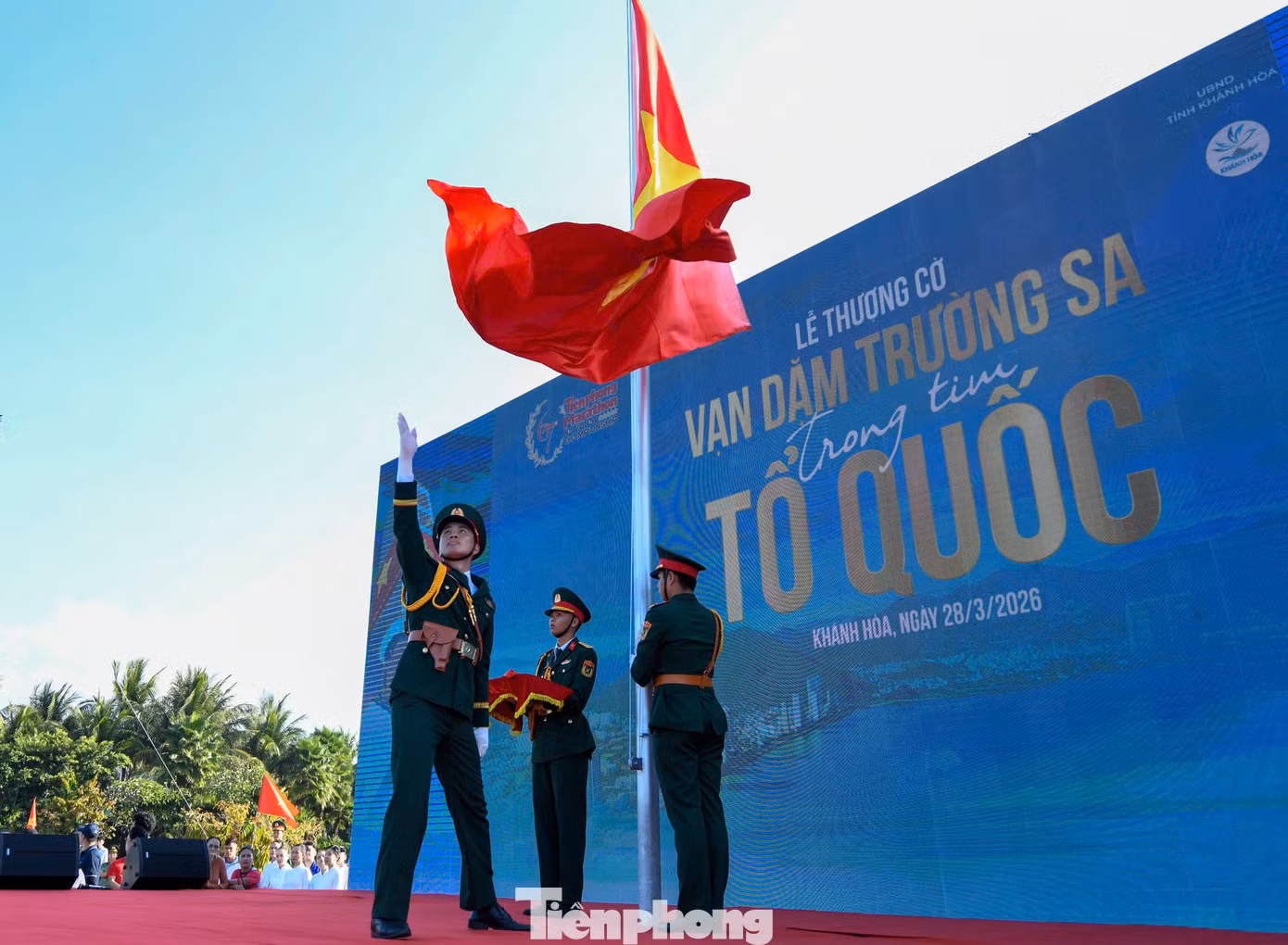 tp-273abc.jpg