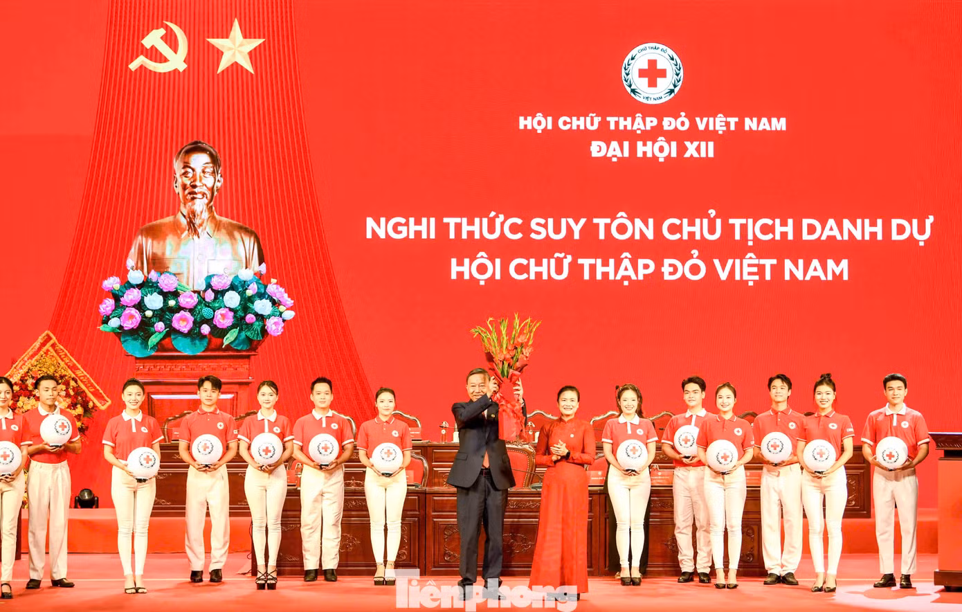 tp-287hctd23.jpg
