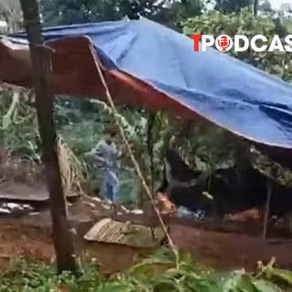 NÓNG 14/8: Xác định nghi phạm vụ nữ nhân viên trường học tử vong tại rẫy cà phê