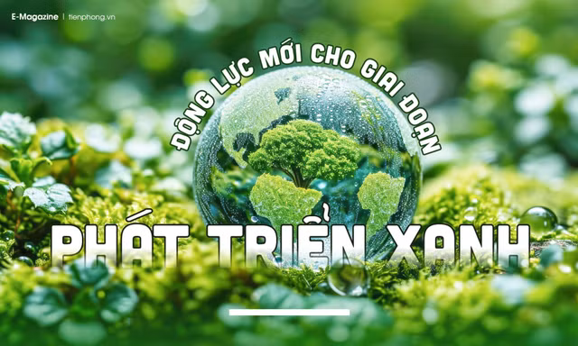 Động lực mới cho giai đoạn phát triển xanh