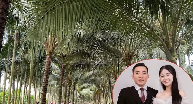Chú rể Vĩnh Long làm 80 mâm cỗ ở vườn dừa 10.000m², mắc võng cho khách nghỉ ngơi