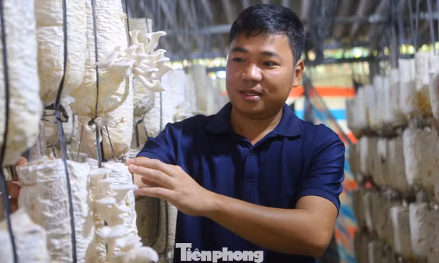  Chàng trai bỏ phố về quê khởi nghiệp với nấm, mỗi năm lãi 300 triệu đồng