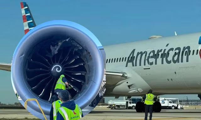 Máy bay Boeing 787 'nuốt' container trên đường băng 