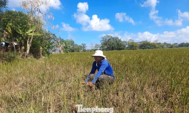 Biến đổi khí hậu diễn ra nhanh và nghiêm trọng hơn mọi dự báo
