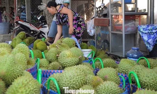 Bài viết phân tích các tiêu chuẩn khắt khe của Trung Quốc về nông sản Việt Nam, yêu cầu nâng cao chất lượng, kiểm soát dư lượng và phát triển bền vững.