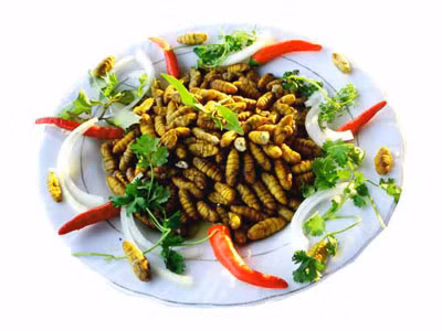Nhộng tằm, dễ ngộ độc nếu bị ngâm tẩm