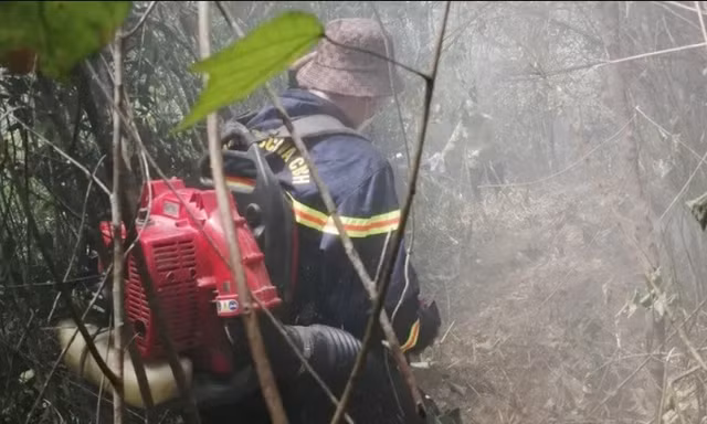 Lửa nghi ngút thiêu rụi gần 2 ha rừng