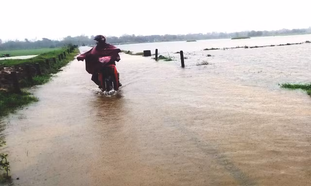 Huế phát cảnh báo