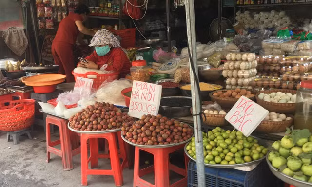 Mận hậu Việt Nam, giá từ 80.000-100.000 đồng/kg