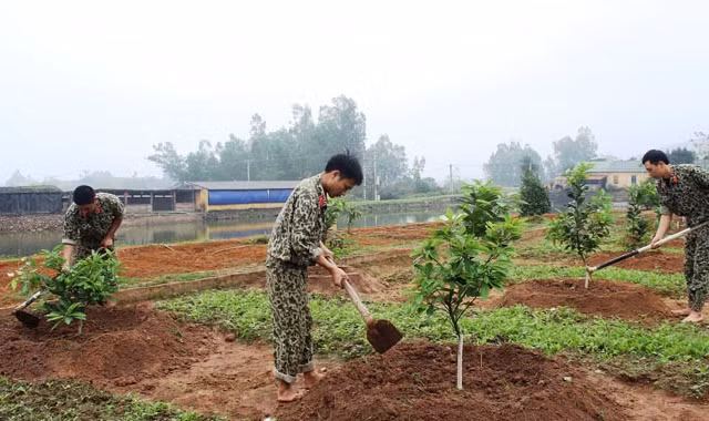 Chiến đấu viên Đội 11, Liên đội Đặc công 9 chăm sóc vườn cây ăn quả.