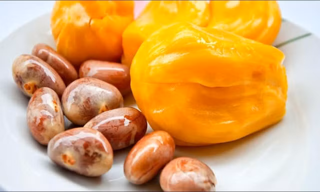 Đặc sản cá tầm giá siêu rẻ, hạt mít có giá tới 200.000đ/kg ở Nhật