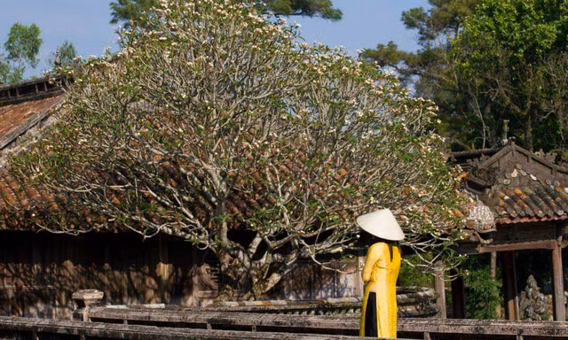 Phụ nữ trong nước và nước ngoài khi tham quan di tích Huế được miễn phí vé vào cổng nếu mặc trang phục áo dài truyền thống (ảnh minh họa)