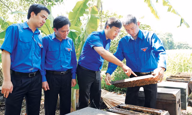 Nhiều mô hình sản xuất cho doanh thu tiền tỷ