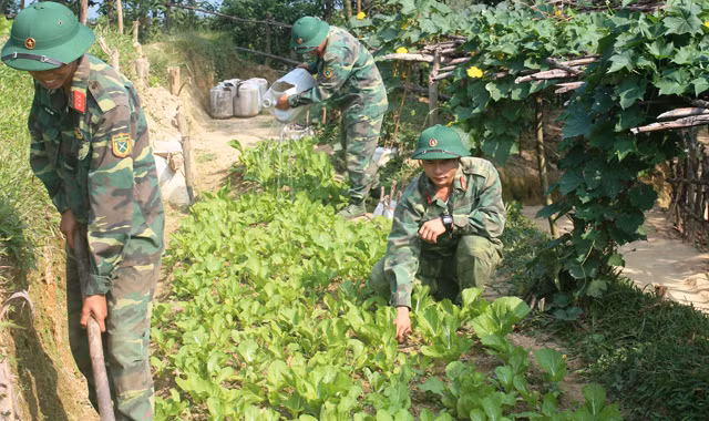 Các chiến sỹ Tiểu đoàn 16 đang chăm sóc vườn tăng gia trên trận địa 137.